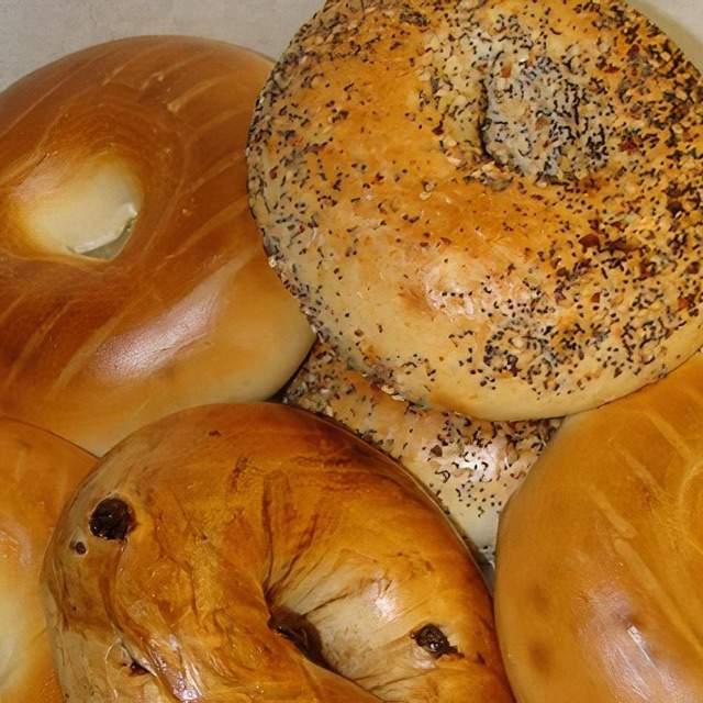 Toasted everything bagel
